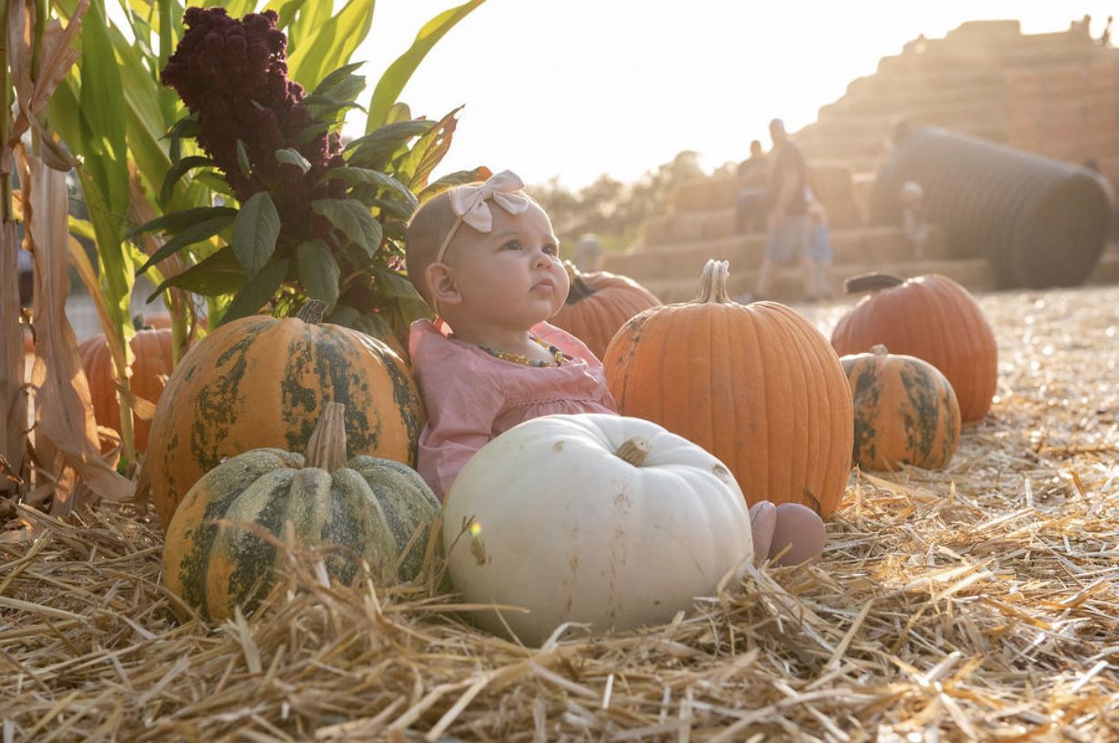Picking Pumpkins 2019